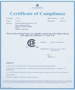 认证证书 CSA.jpg